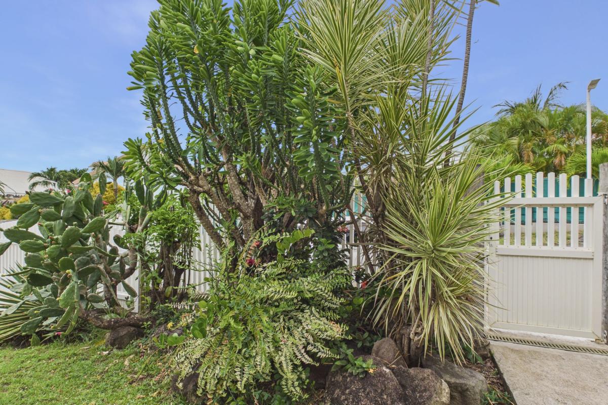 location villa 6 personnes  - plantation cote rue